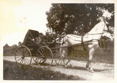 voiture hippomobile - horse carriage - buggy cart - Goshen IB circa 1890